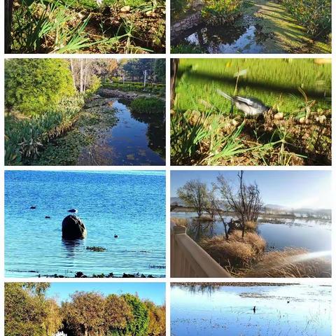 杨驰宇11月成长记录表