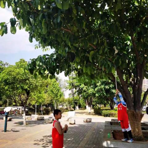 杨驰宇四月成长记录册