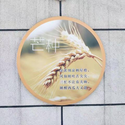 劳动播撒希望，芒种收获硕果--记合肥市第三十八中学教育集团东校采摘活动