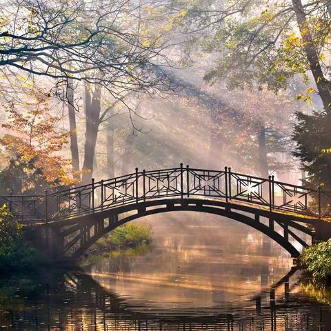 书画兴趣爱好鉴赏（二）