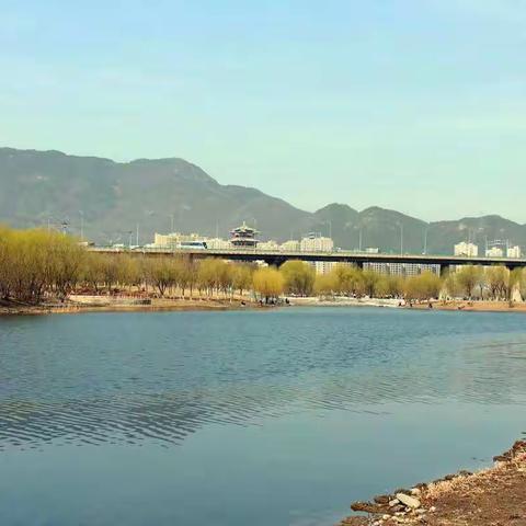 🍒🍒2021.3.23仲春时节中的永定河两岸风光。