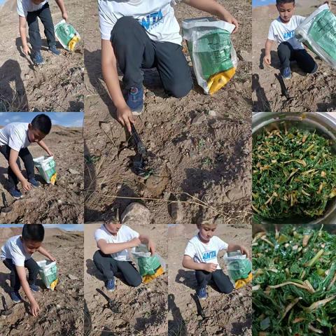 慌慌张张的美篇