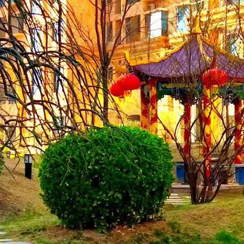 门前小公园