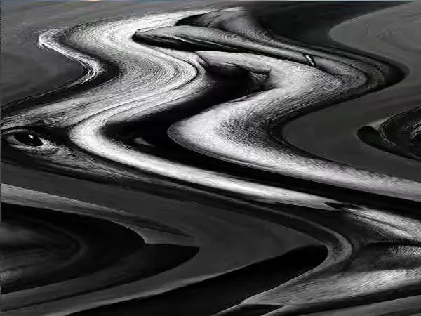 光影 一 陆忠良先生摄影作品