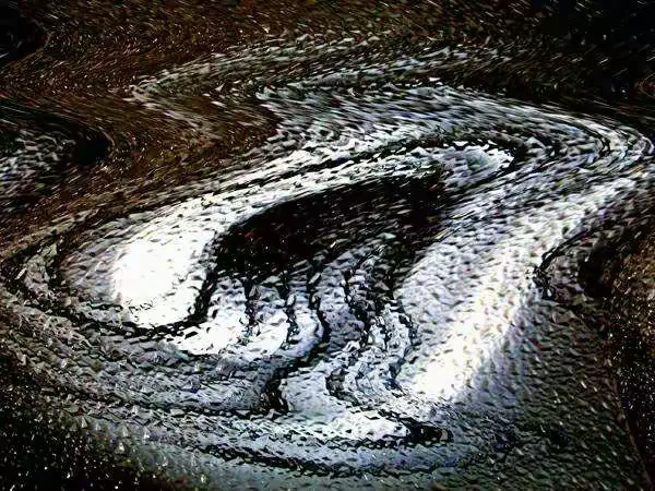 光影 一 陆忠良先生摄影作品