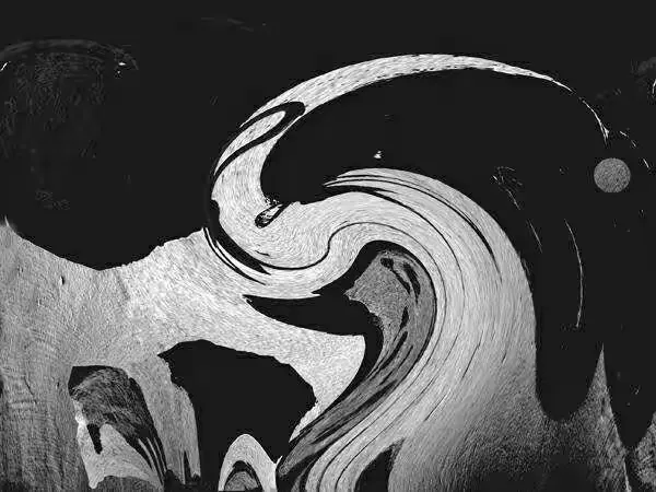 光影 一 陆忠良先生摄影作品