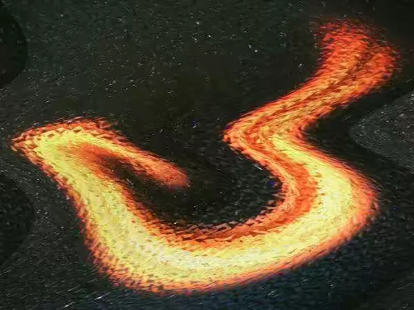 光影 一 陆忠良先生摄影作品