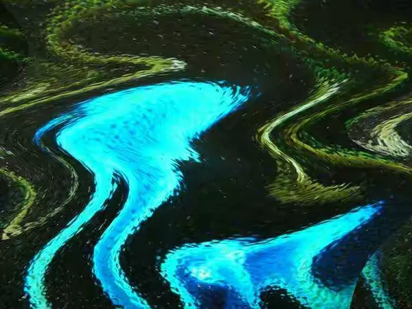 光影 一 陆忠良先生摄影作品