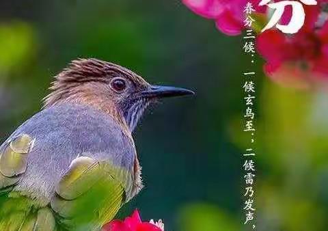 文风小学一年级专题《寻找春天的脚步》