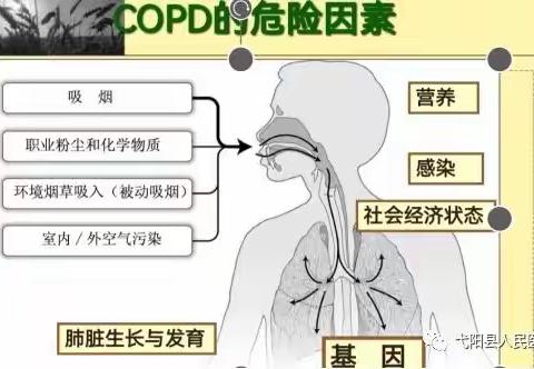 周中医•肺病科（呼吸与危重症科）
