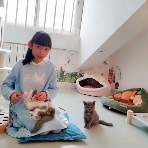 我和动物交朋友——廊坊市第十五小学四年级线上美术课（七）