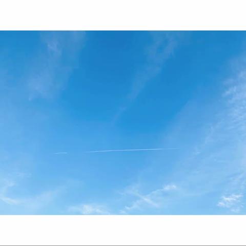 【沐浴在阳光下】-5月分享