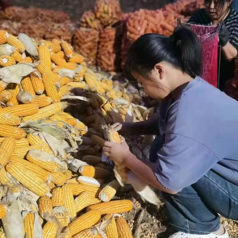 华龙区实验小学五年级二班陈超凡《拔草》