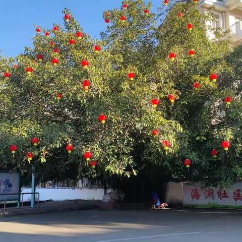 〖开局布新篇，喜迎福兔年〗      ——海澜社区迎春工作纪实