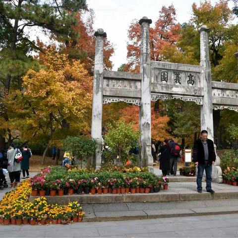 寻秋-苏州天平山红枫