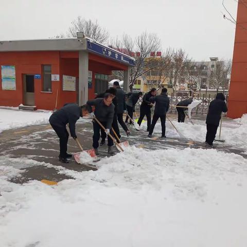 骤雪初霁   除冰忙——滨州市沾化区第一实验小学除雪记