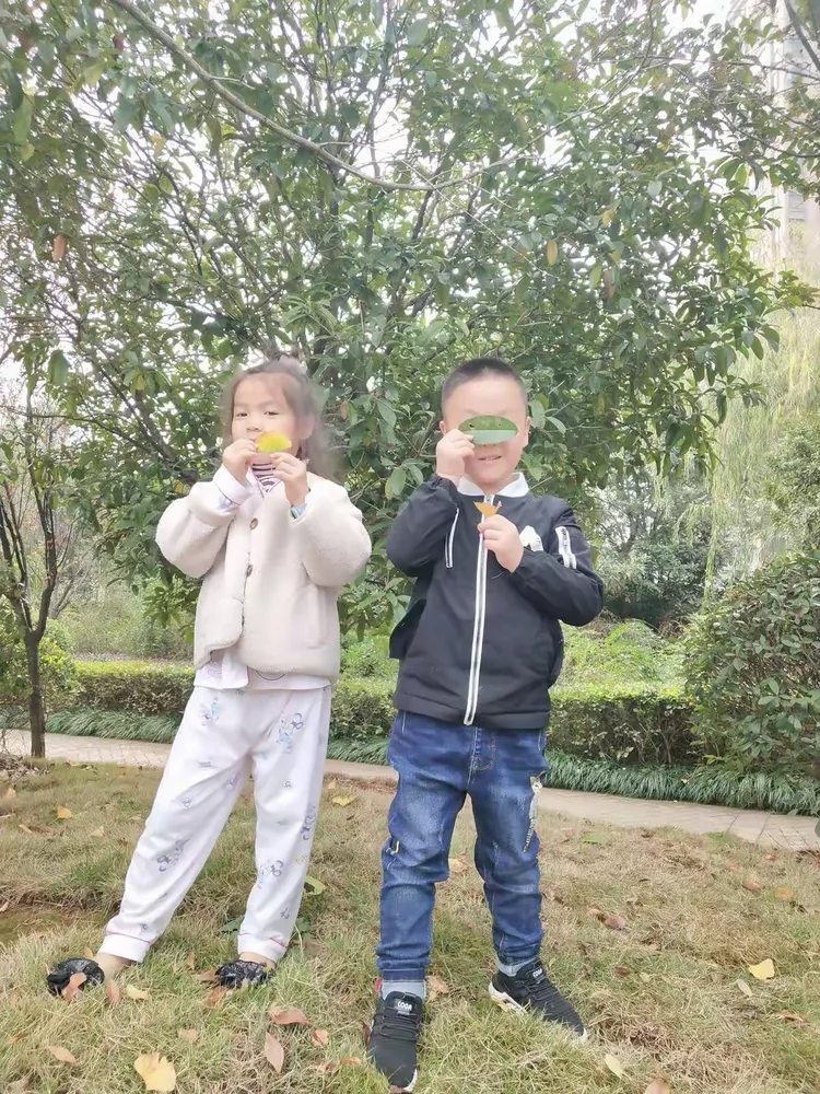 凤凰幼儿园大(二)班 刘锦轩《我和秋天藏猫猫》