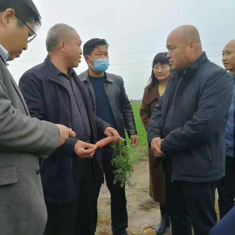 发展蔬菜产业   助力农民增收