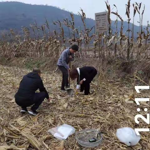 实施农膜监测 强化污染防治