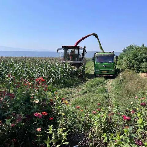 秋日田间忙耕耘