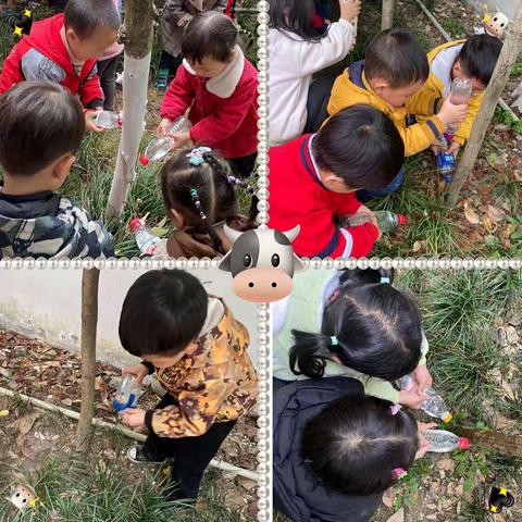 【🌱小树苗 大森林🌳】——青云山路小学附设幼儿园