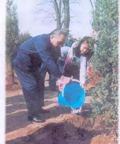 绿色的作业单——《邓小平爷爷植树》一文拓展活动