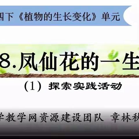 03月28日四年级科学《1.8凤仙花的一生》