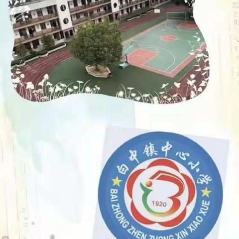 “减负增效，质量提升”——白中镇中心小学综合科教学开放周活动