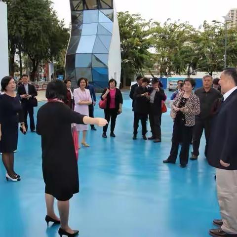 京津沪渝琼教育创新共同体领导专家莅临九小指导工作