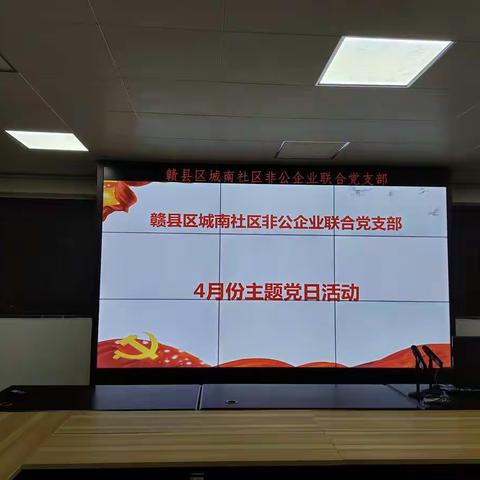 赣县区城南社区非公企业联合党支部4月份主题党日活动