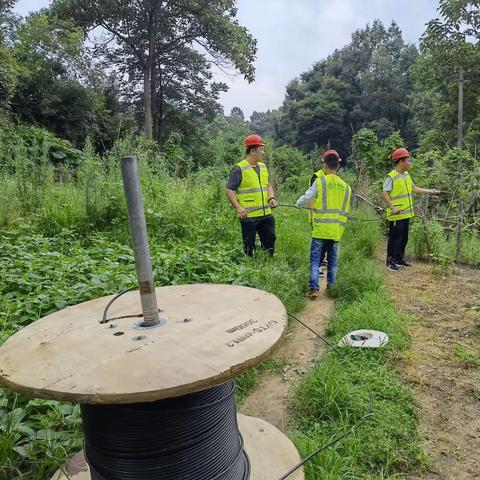 打赢这场没有硝烟的战役 信阳移动防汛纪实