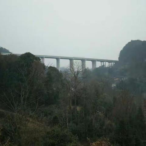 松桃苗族自治县太平办事处老寨村正宗山野土鸡蛋，假一罚十。