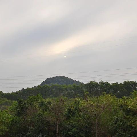 动静结合俱乐部第三期阅读