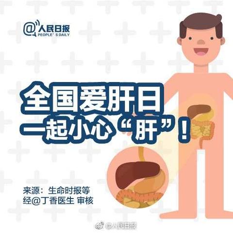 爱肝护肝 防治结合 遏制肝炎