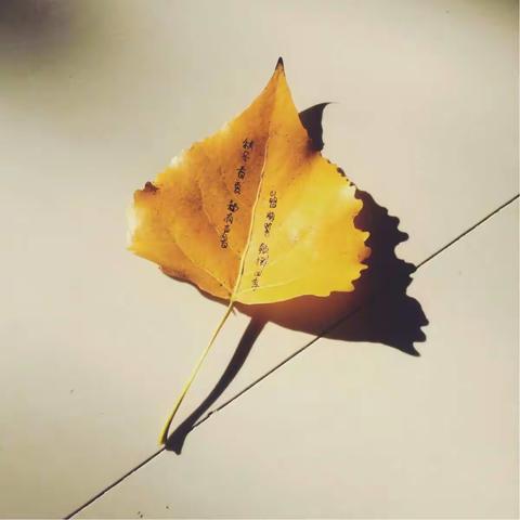 乐学琴行-10月份“快乐学琴”音乐会