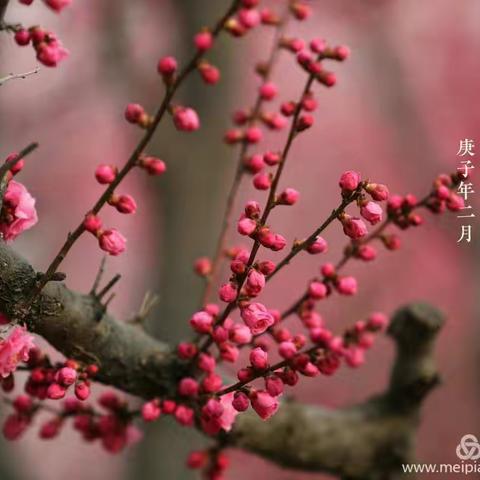 孩子，你是最棒的！