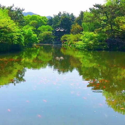 以学促知，以知促行--青铜峡市职业教育中心教师赴杭参加“双师型”教师综合能力提升培训