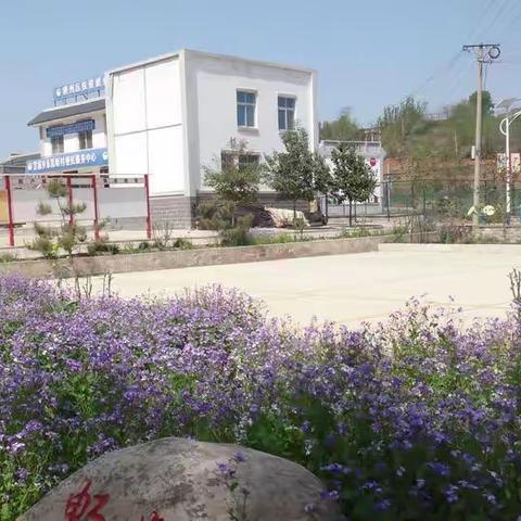 巾帼之花在环境卫生整治攻坚行动中绽放