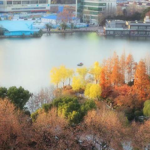 上海长风画卷