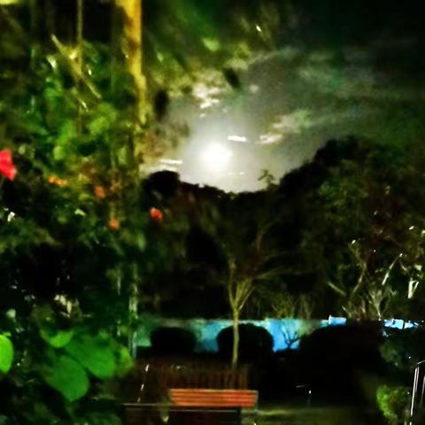 “相识满天下，知心能几人”