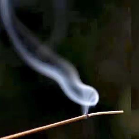 草根梵影俱乐部魏东建摄影作品选