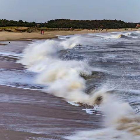 浪的随想