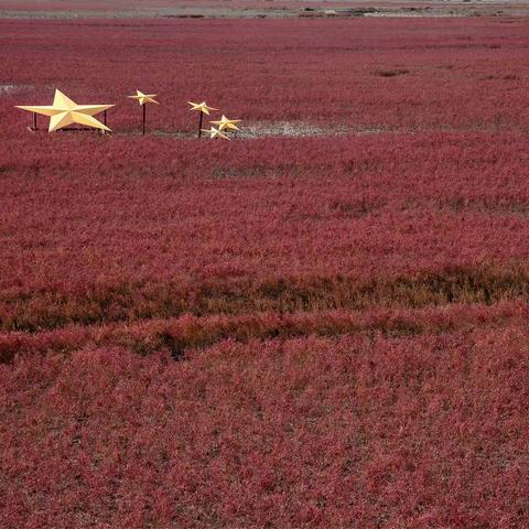 盘锦——红海滩