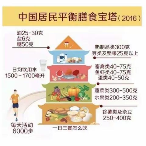 我的营养午餐——“营养午餐”数学项目化活动