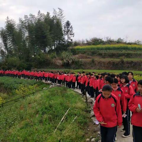 缅怀先烈，文明祭扫——花园中学清明祭扫先烈活动