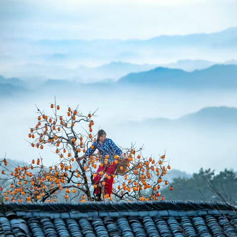 2022年11月徽州本土秋摄行