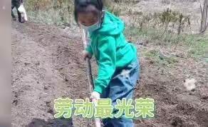 实验小学二年五班“五一劳动节实践活动"