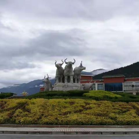 说走就走的旅行~西藏江南林芝~鲁朗林海~朗秋冰川