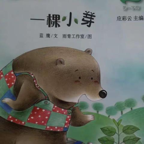 特色活动《一颗小芽》
