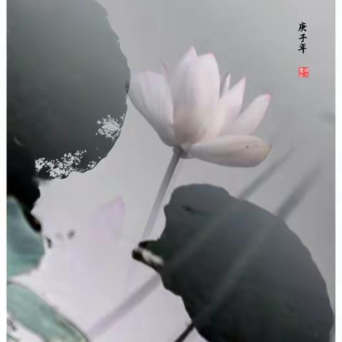莲叶荷田田